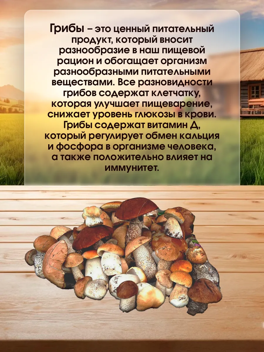 Грибы белые, подосиновики, маслята и лисички 1480мл