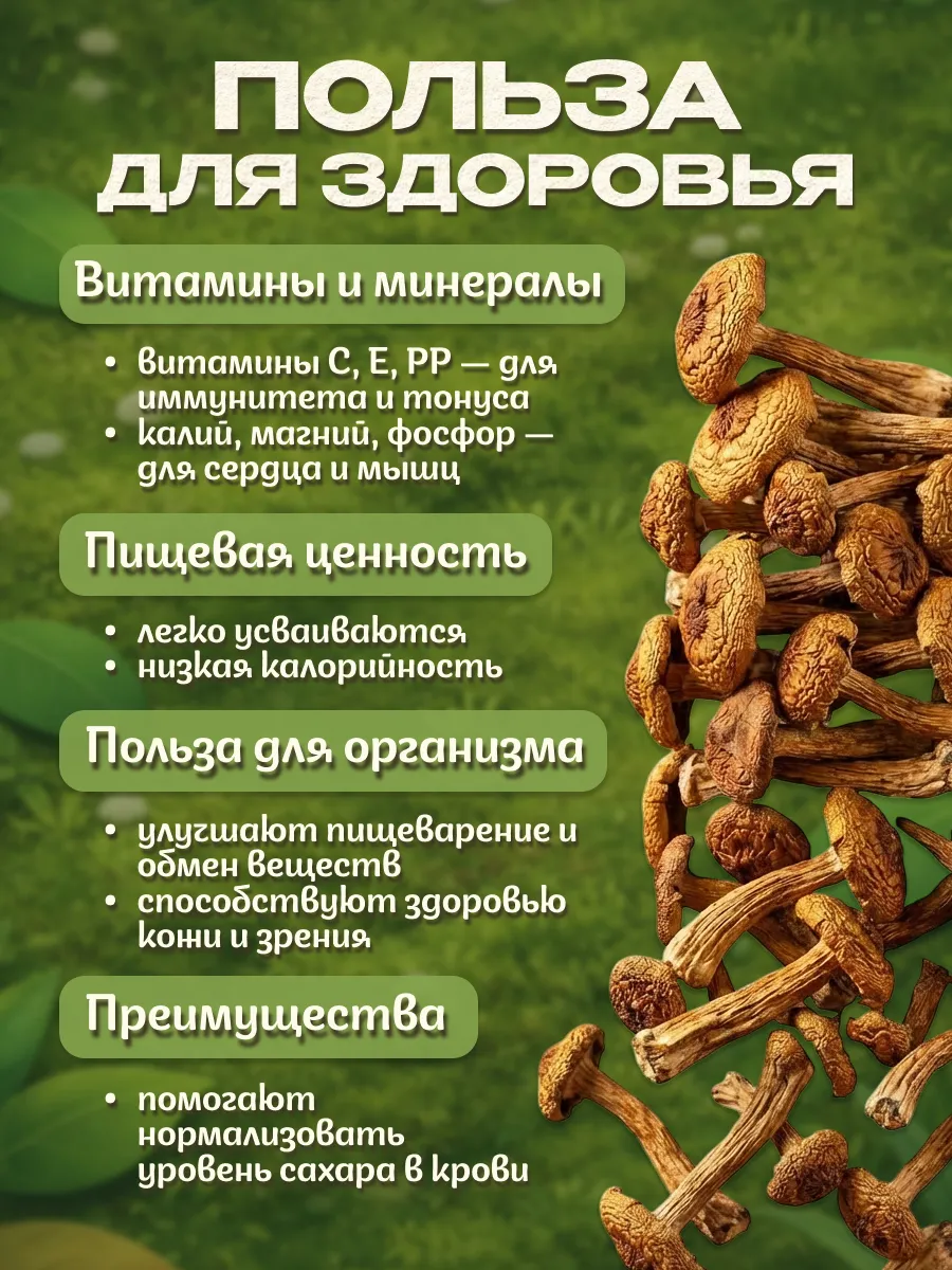 Опята грибы сушеные 50гр