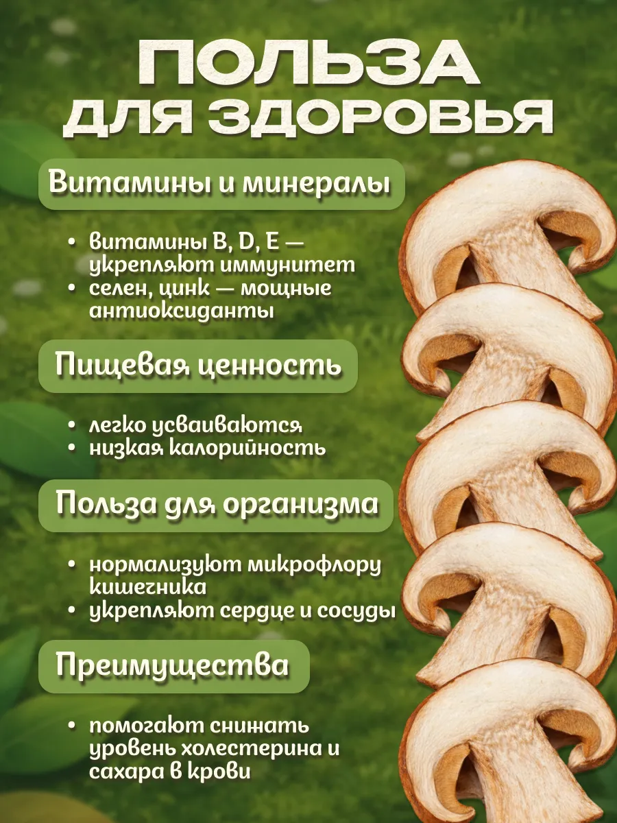 Белые грибы сушеные 100гр