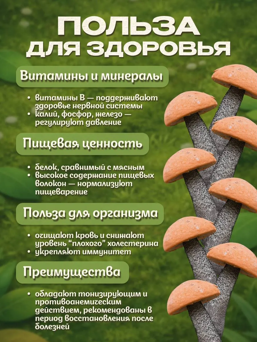 Подосиновики грибы сушеные 150гр